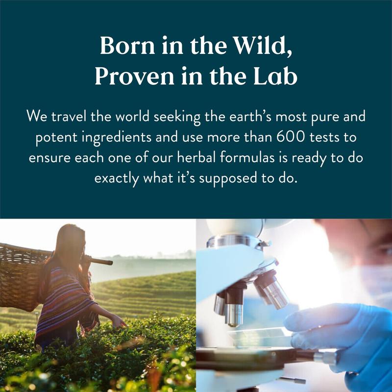 Lymphatic Drainage Supplement