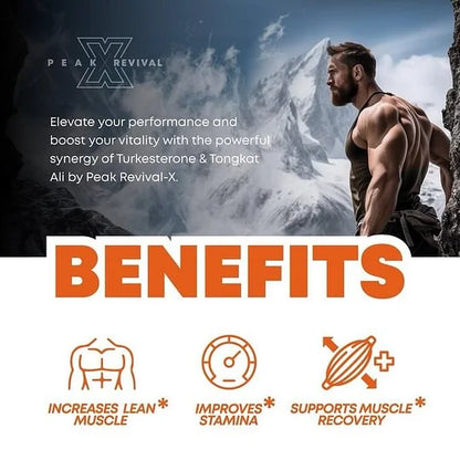 Turkesterone + Tongkat Ali | Natural Muscle Support & Recovery Capsules (1000mg)